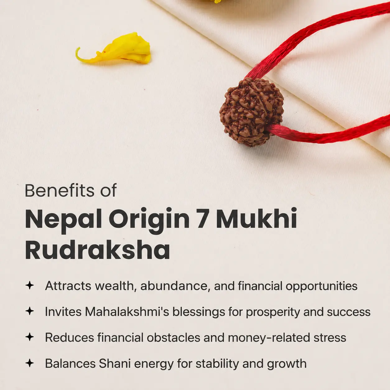 Nepal Origin 7 Mukhi Rudraksha - 17mm to 22mm - Image 5