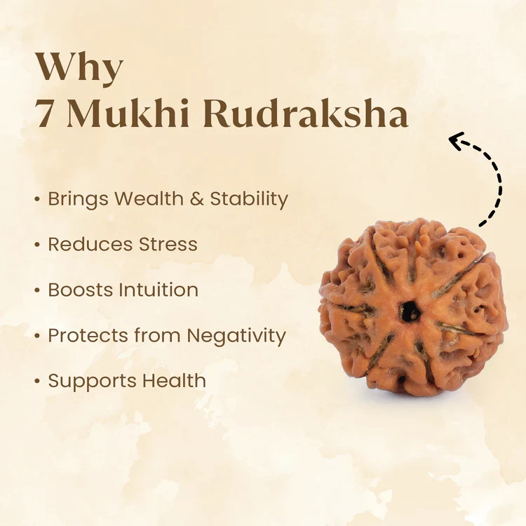 7 Mukhi Rudraksha with FREE Shree Yantra (6*6 inch) - Image 6