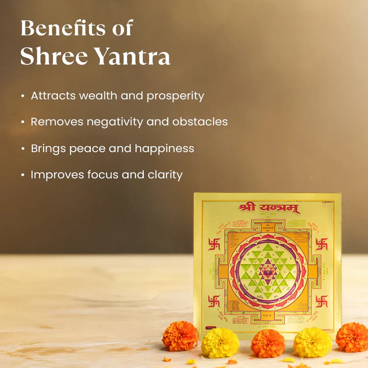 7 Mukhi Rudraksha with FREE Shree Yantra (6*6 inch) - Image 7