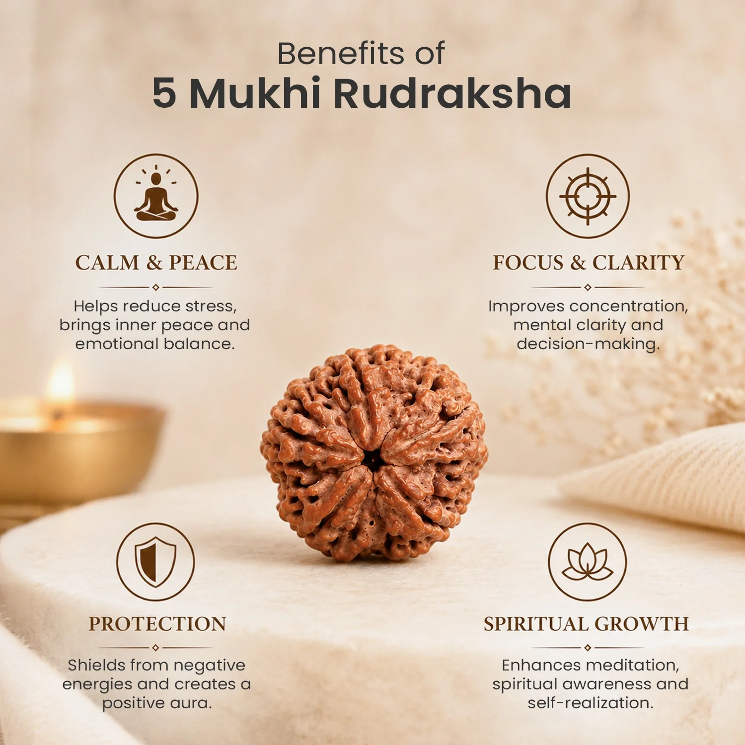 Collector's Edition 5 Mukhi Rudraksha (Nepali Origin) - Image 5