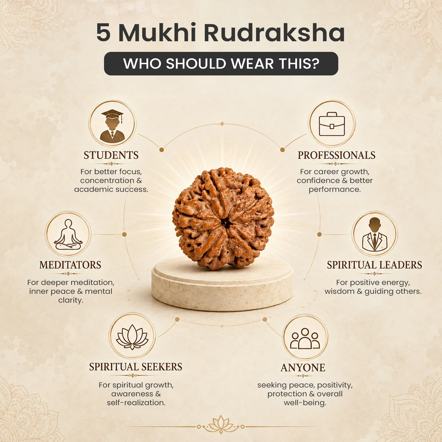Collector's Edition 5 Mukhi Rudraksha (Nepali Origin) - Image 9