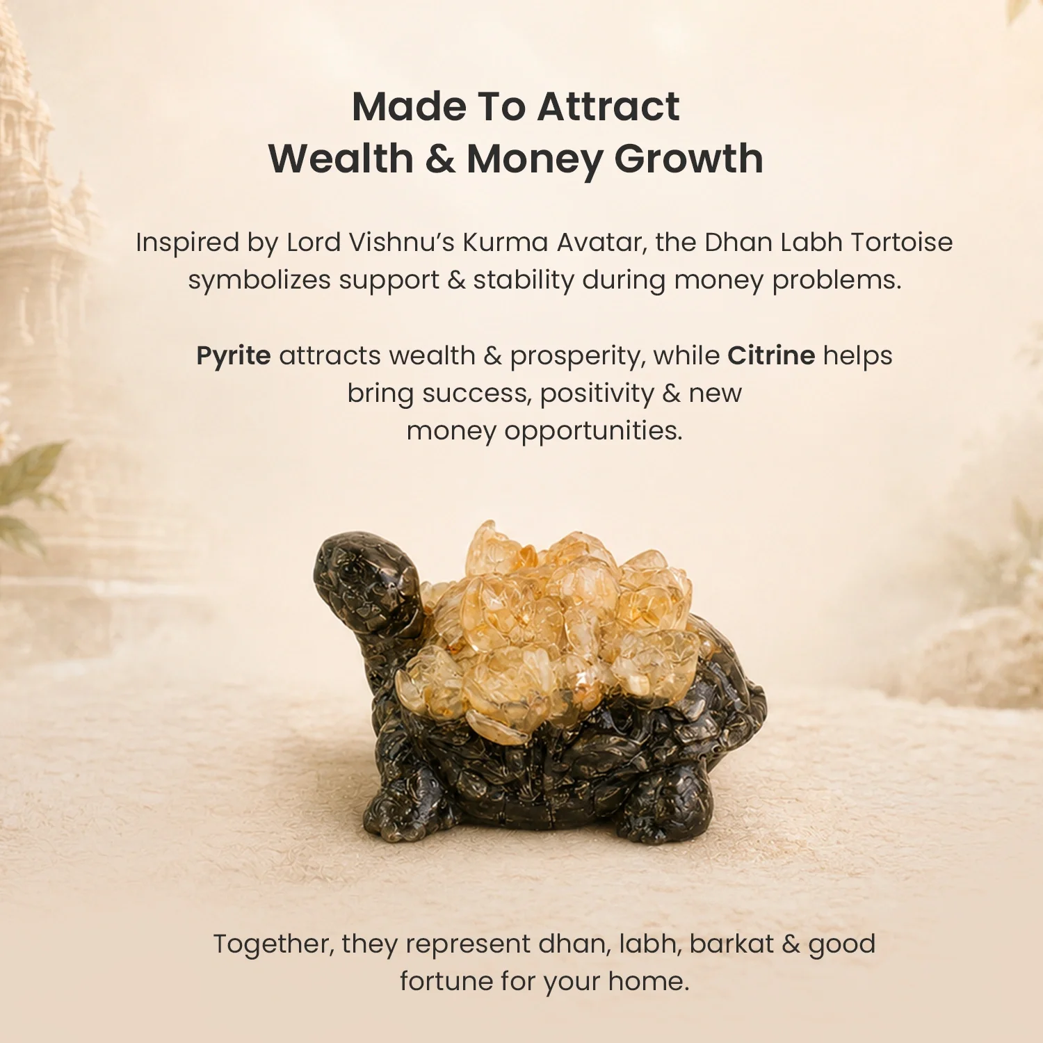 Dhan Labh Tortoise - Image 6