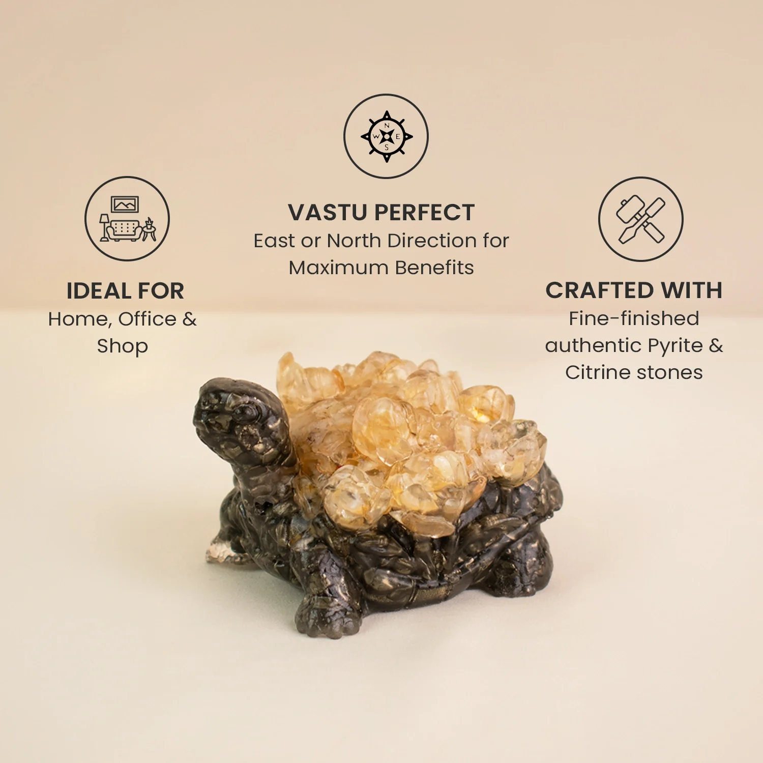 Dhan Labh Tortoise - Image 9