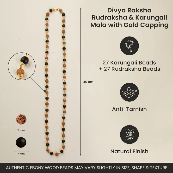 Divya Raksha Rudraksha & Karungali Mala with Silver Capping - Image 15