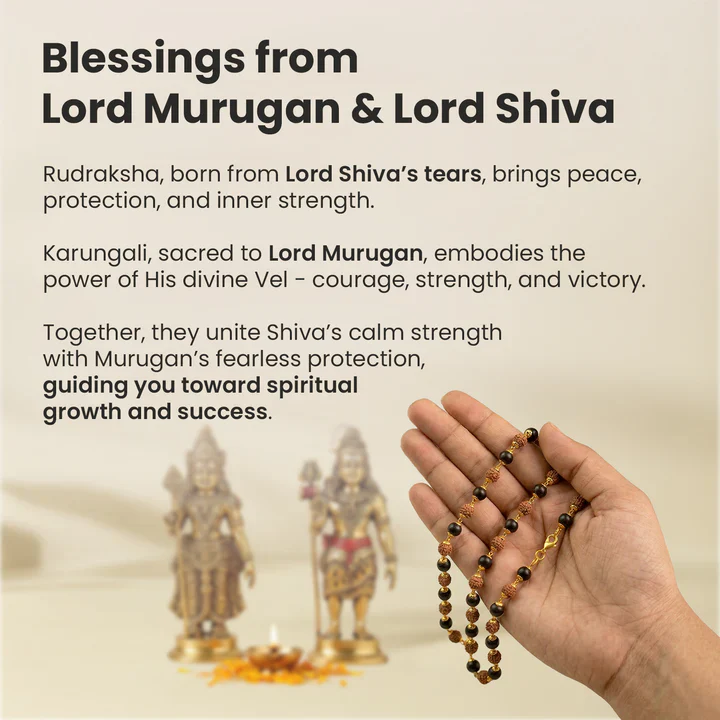 Divya Raksha Rudraksha & Karungali Mala with Silver Capping - Image 17