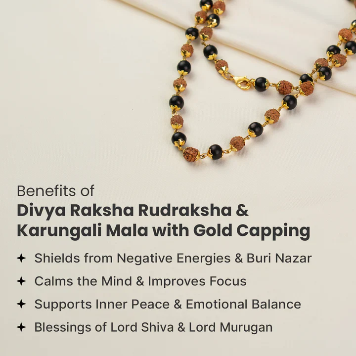 Divya Raksha Rudraksha & Karungali Mala with Silver Capping - Image 20