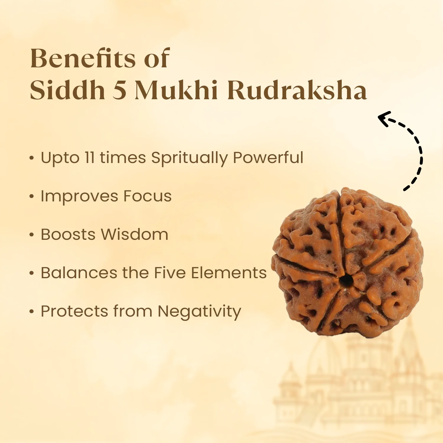 Kashi Siddh Nepal Origin 5 Mukhi Rudraksha - 17mm to 22mm - Image 3