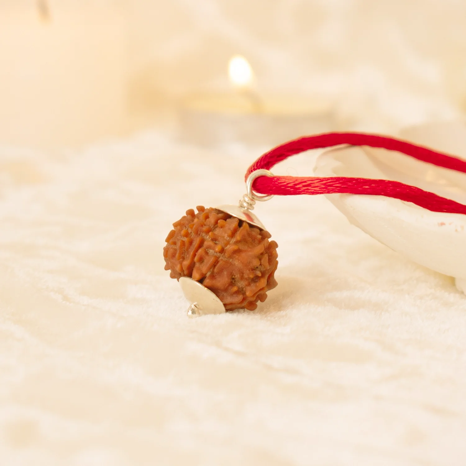 Kashi Siddh Nepal Origin 5 Mukhi Rudraksha - 17mm to 22mm - Image 5