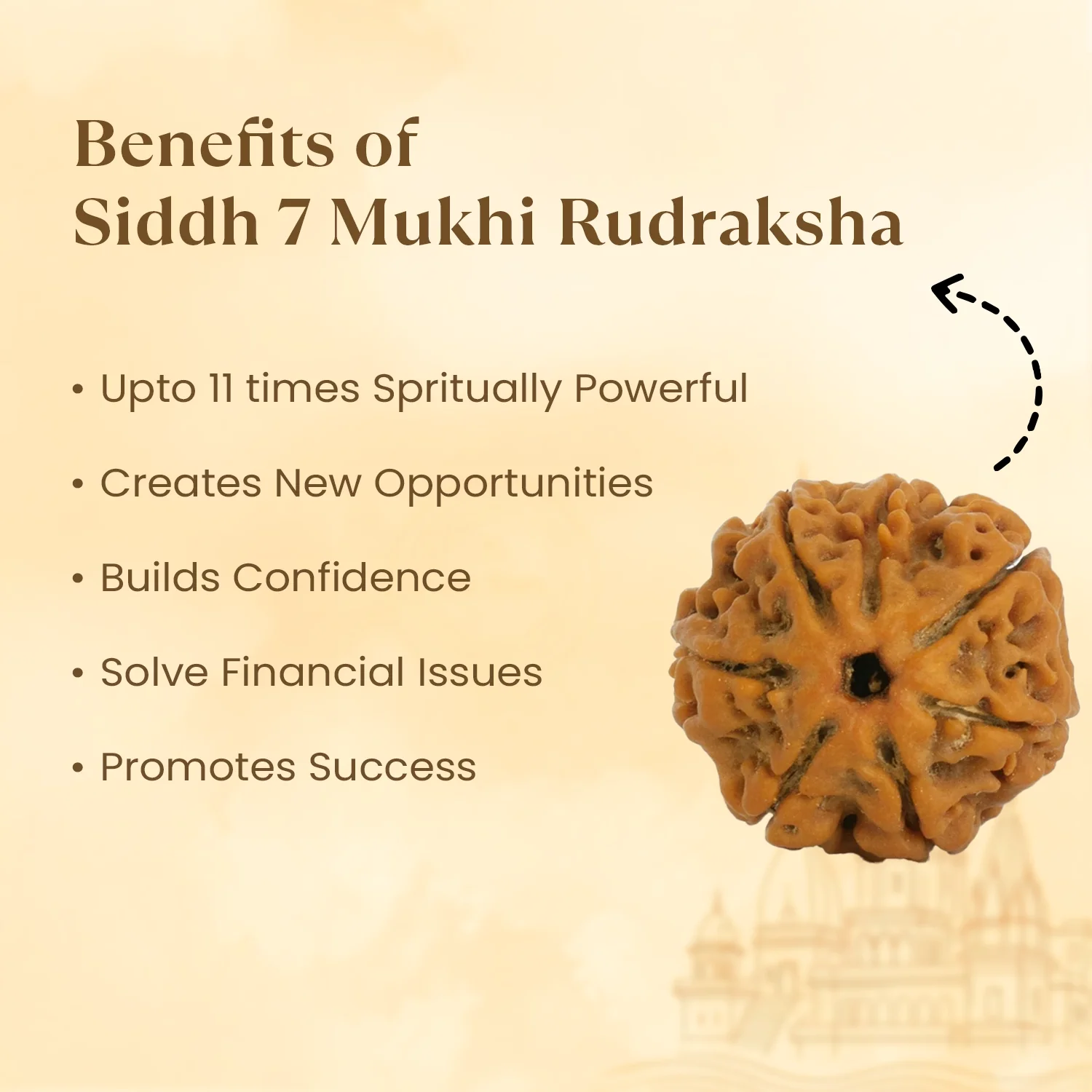 Kashi Siddh Nepal Origin 7 Mukhi Rudraksha - 17mm to 22mm - Image 4