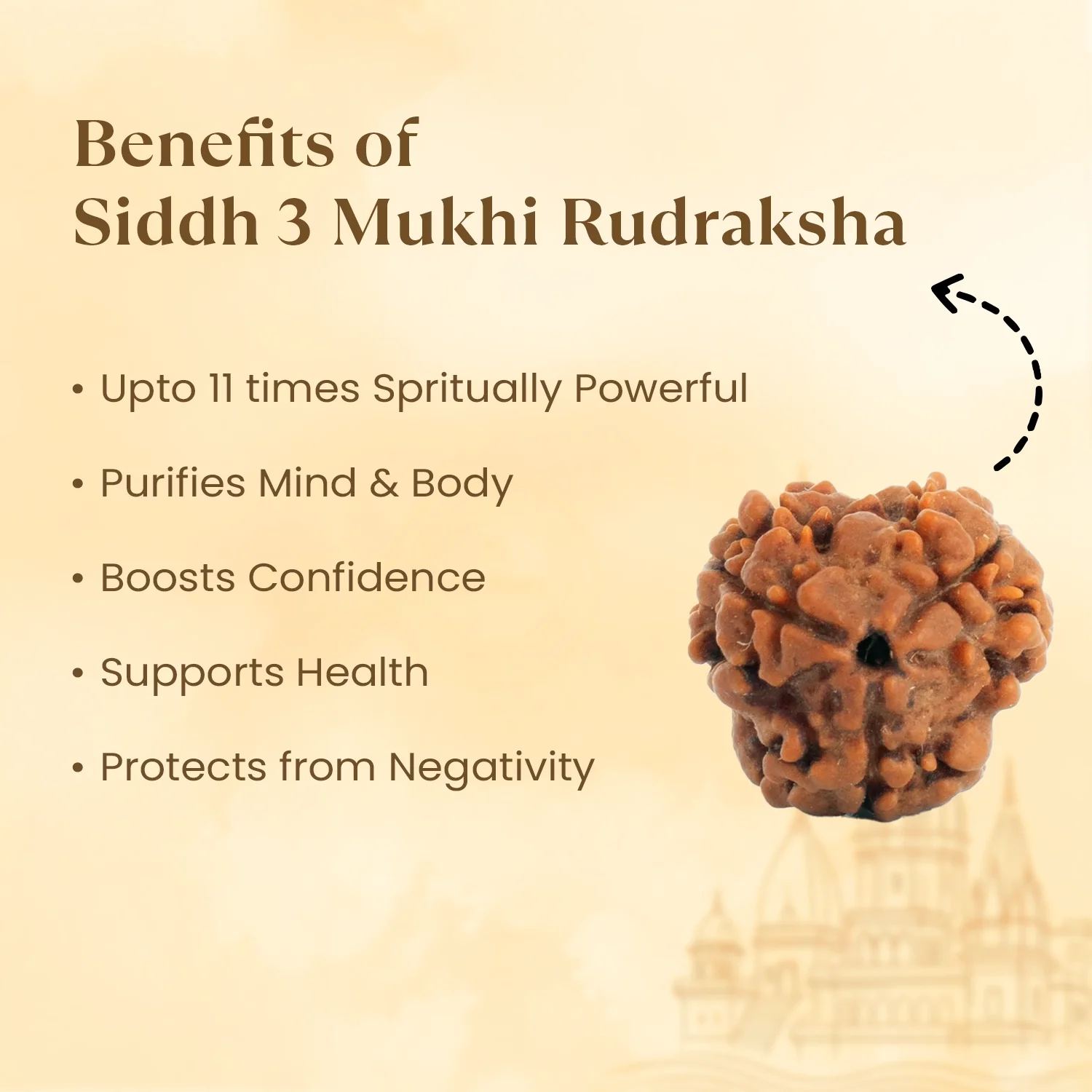 Kashi Siddh Nepal Origin 3 Mukhi Rudraksha - 17mm to 22mm - Image 3