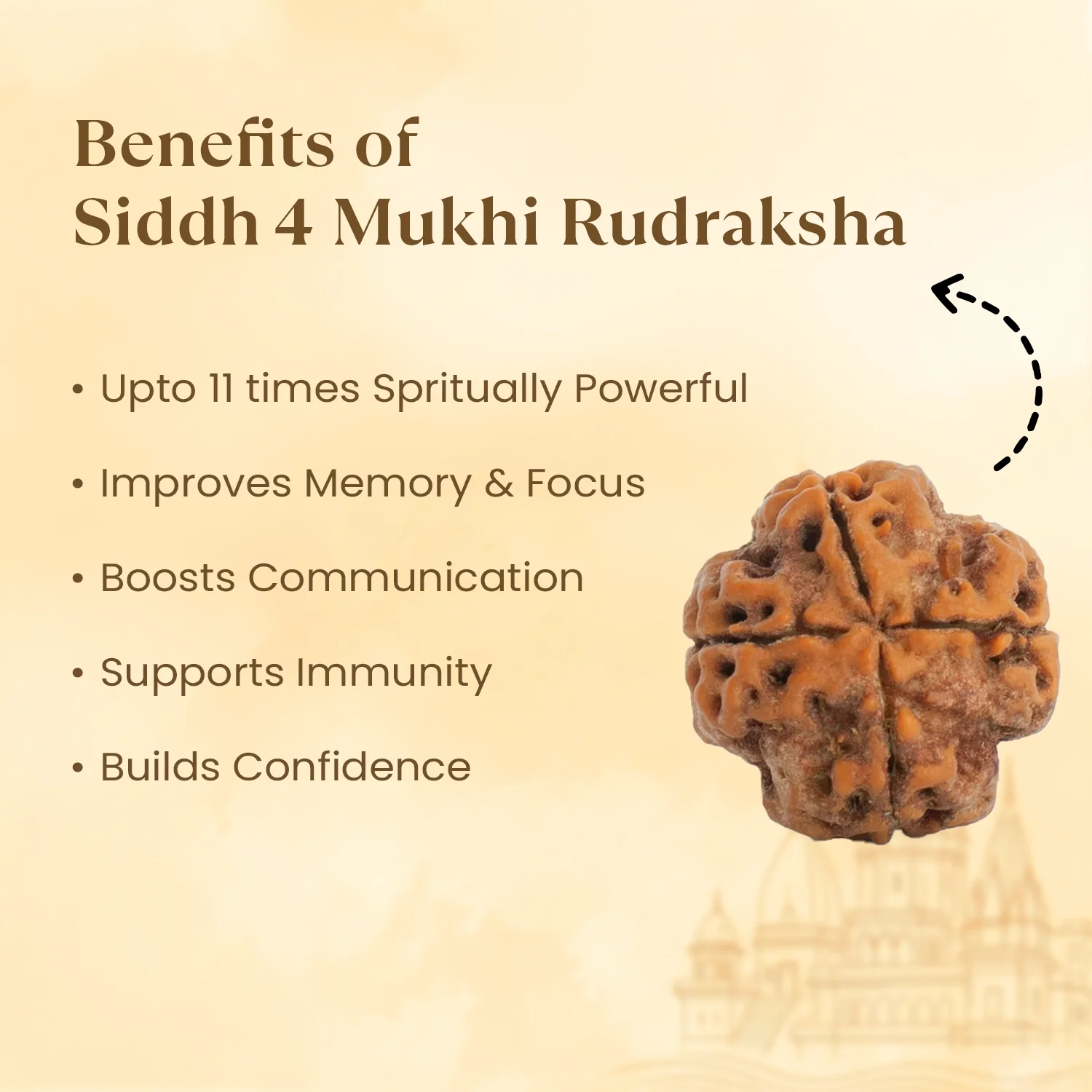Kashi Siddh Nepal Origin 4 Mukhi Rudraksha - 17mm to 22mm - Image 3