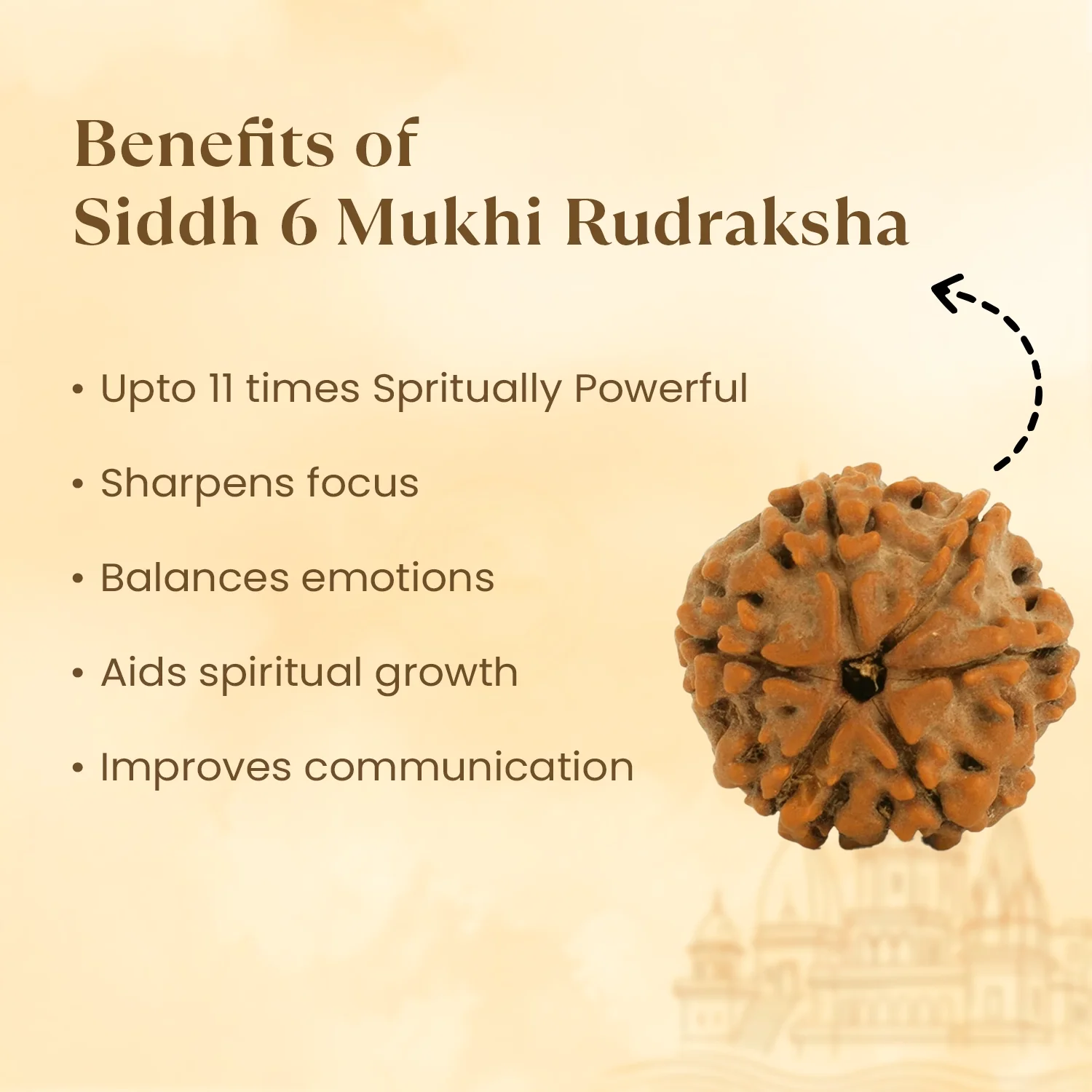 Kashi Siddh Nepal Origin 6 Mukhi Rudraksha - 17mm to 22mm - Image 3