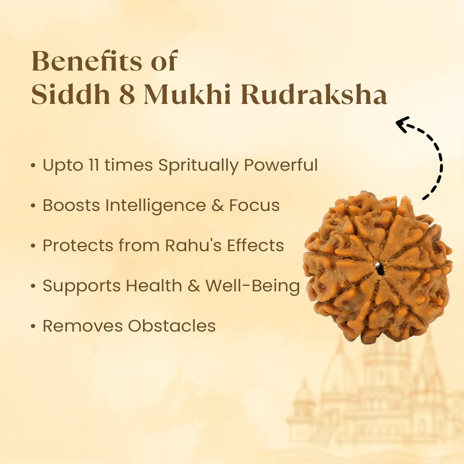 Kashi Siddh Nepal Origin 8 Mukhi Rudraksha - 17mm to 22mm - Image 3