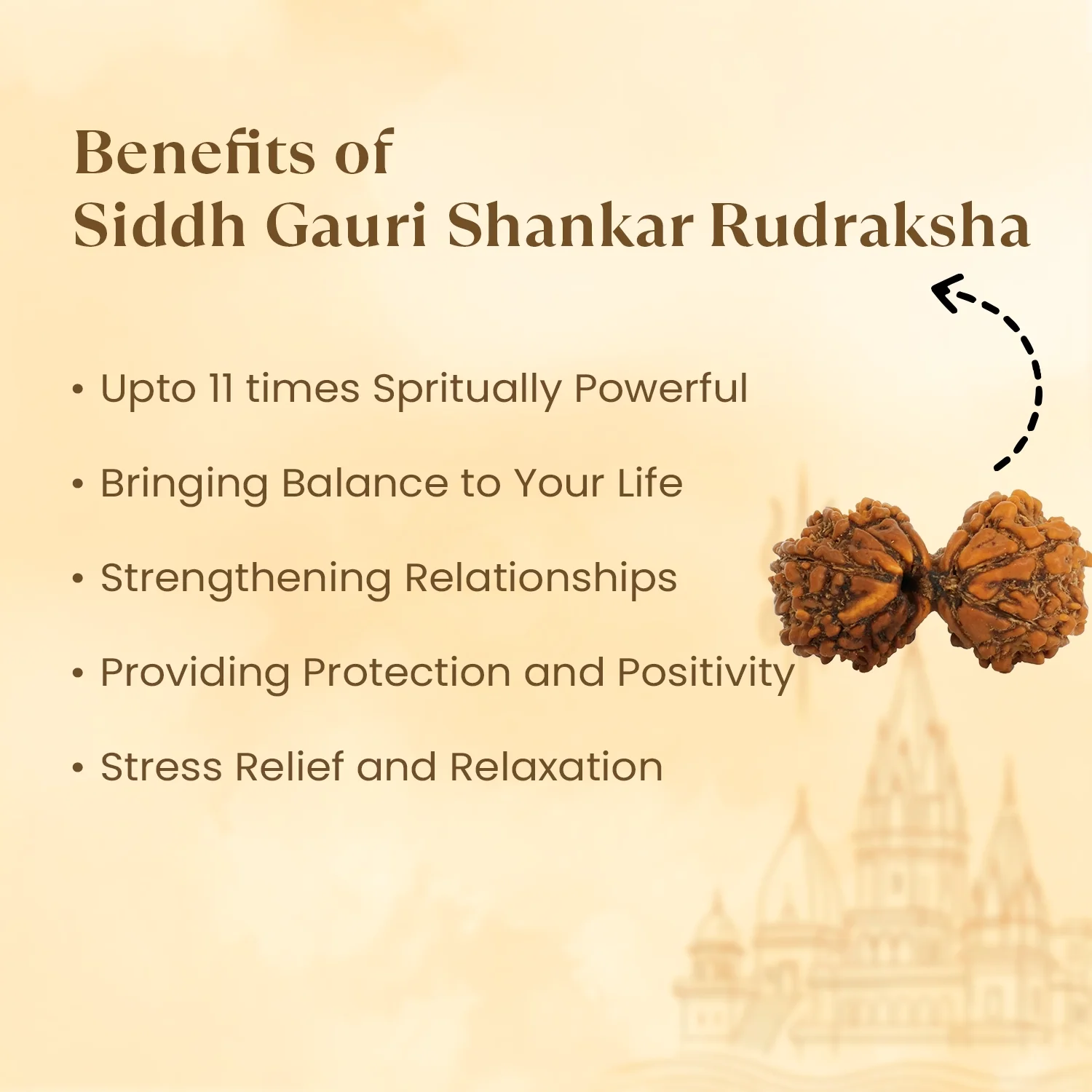 Kashi Siddh Nepal Origin Gauri Shankar Rudraksha - 17mm to 22mm - Image 3