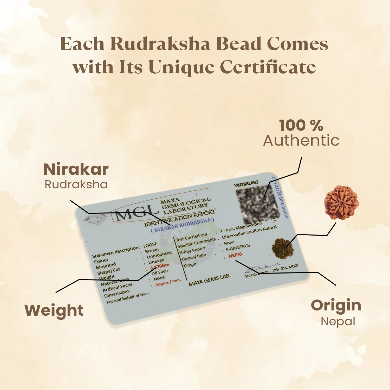 Kashi Siddh Nepal Origin Nirakar Rudraksha (0 Mukhi) - 17mm to 22mm - Image 4