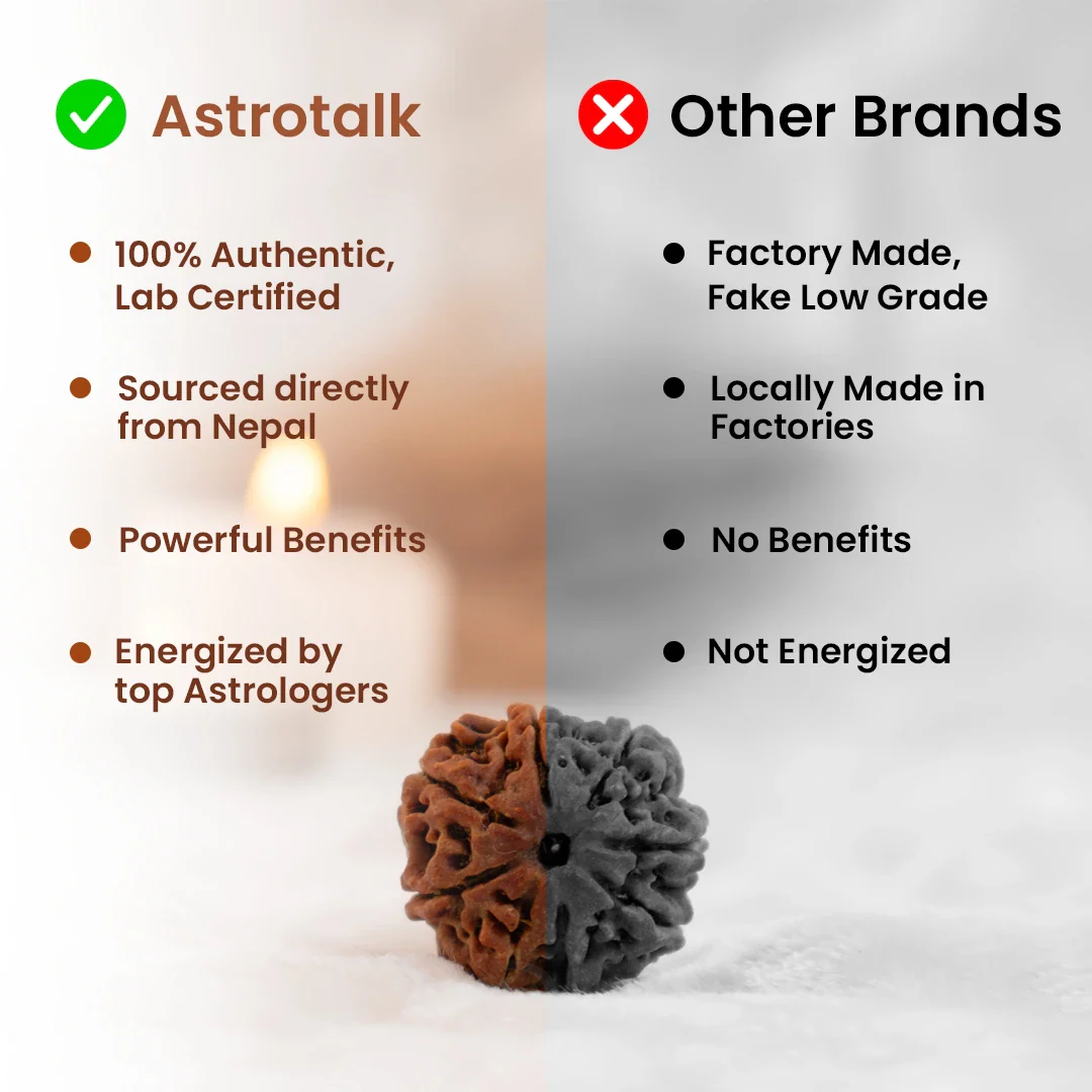 Nepal Origin 5 Mukhi Rudraksha Bead - 8mm to 12mm (FREE GIFT) - Image 4