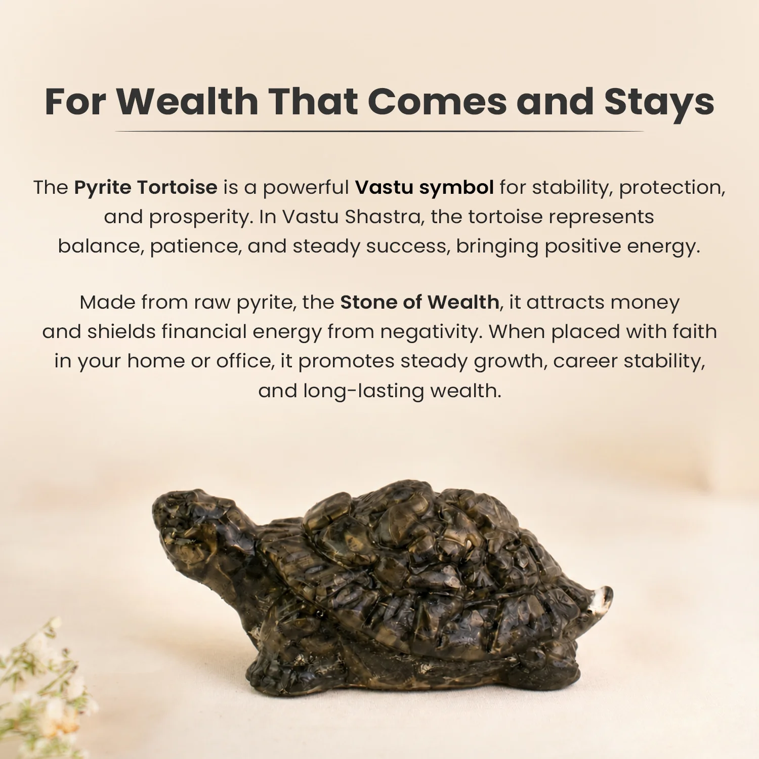 Vastu Pyrite Tortoise (Kachhua) - Image 22
