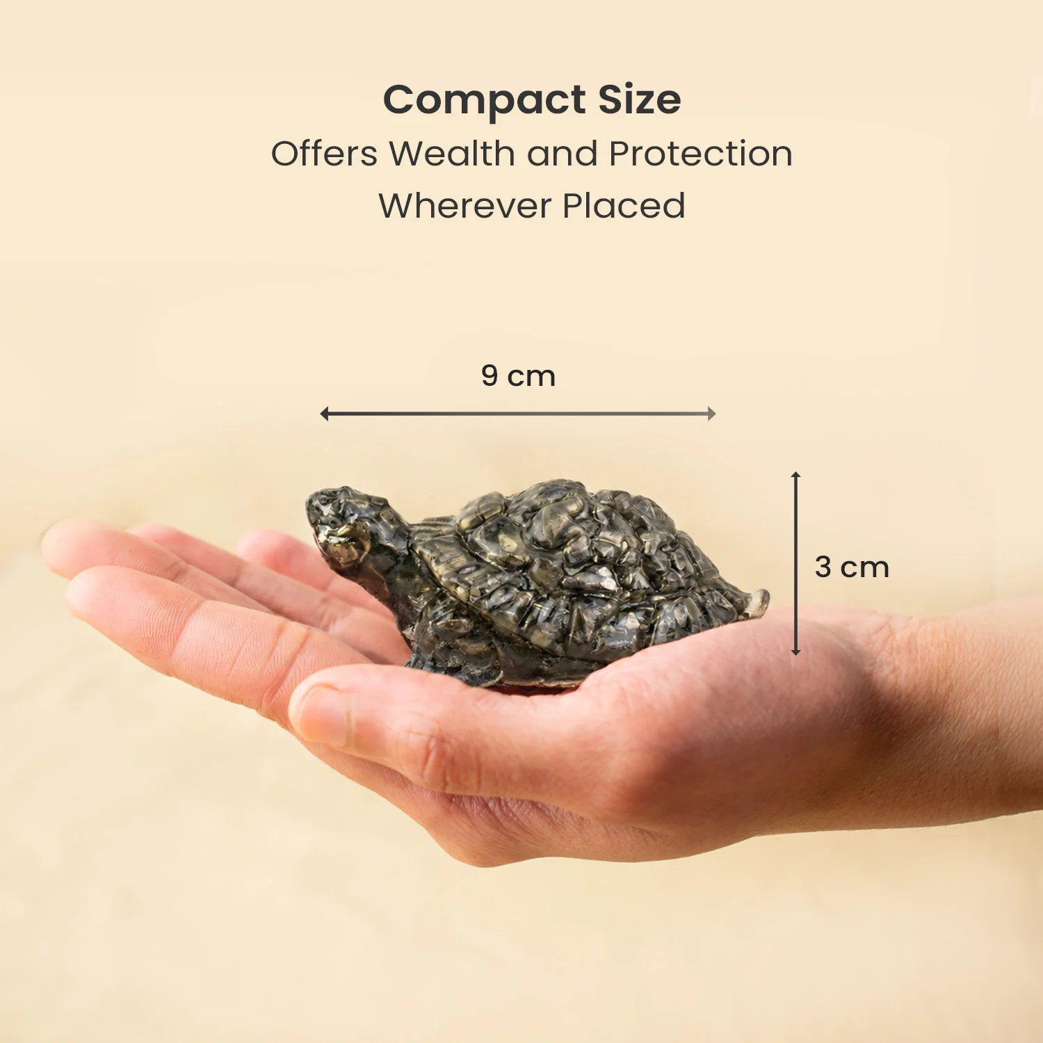 Vastu Pyrite Tortoise (Kachhua) - Image 24