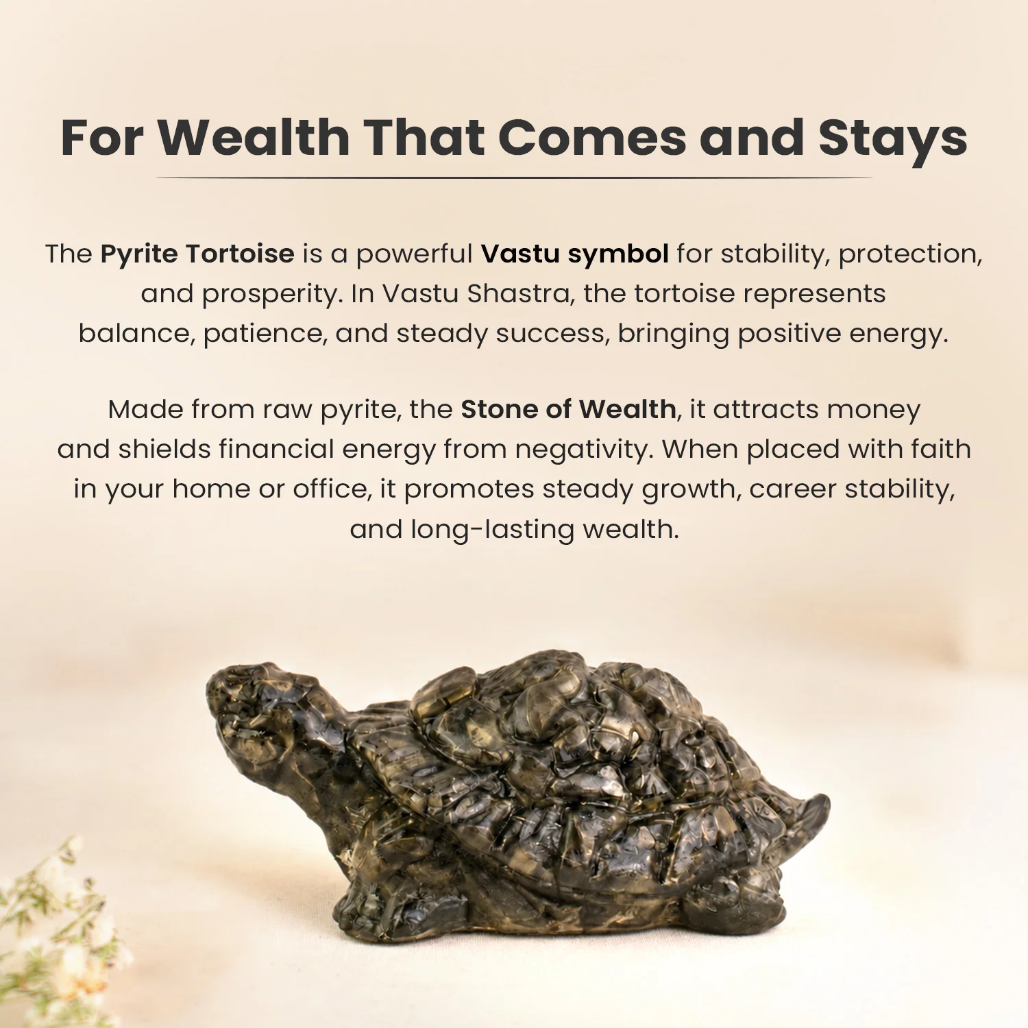 Vastu Pyrite Tortoise (Kachhua) - Image 27
