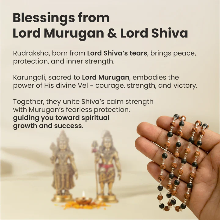 Rinmukteshwar Siddh Divya Rudraksha Karungali Mala - Silver Capped - Image 8