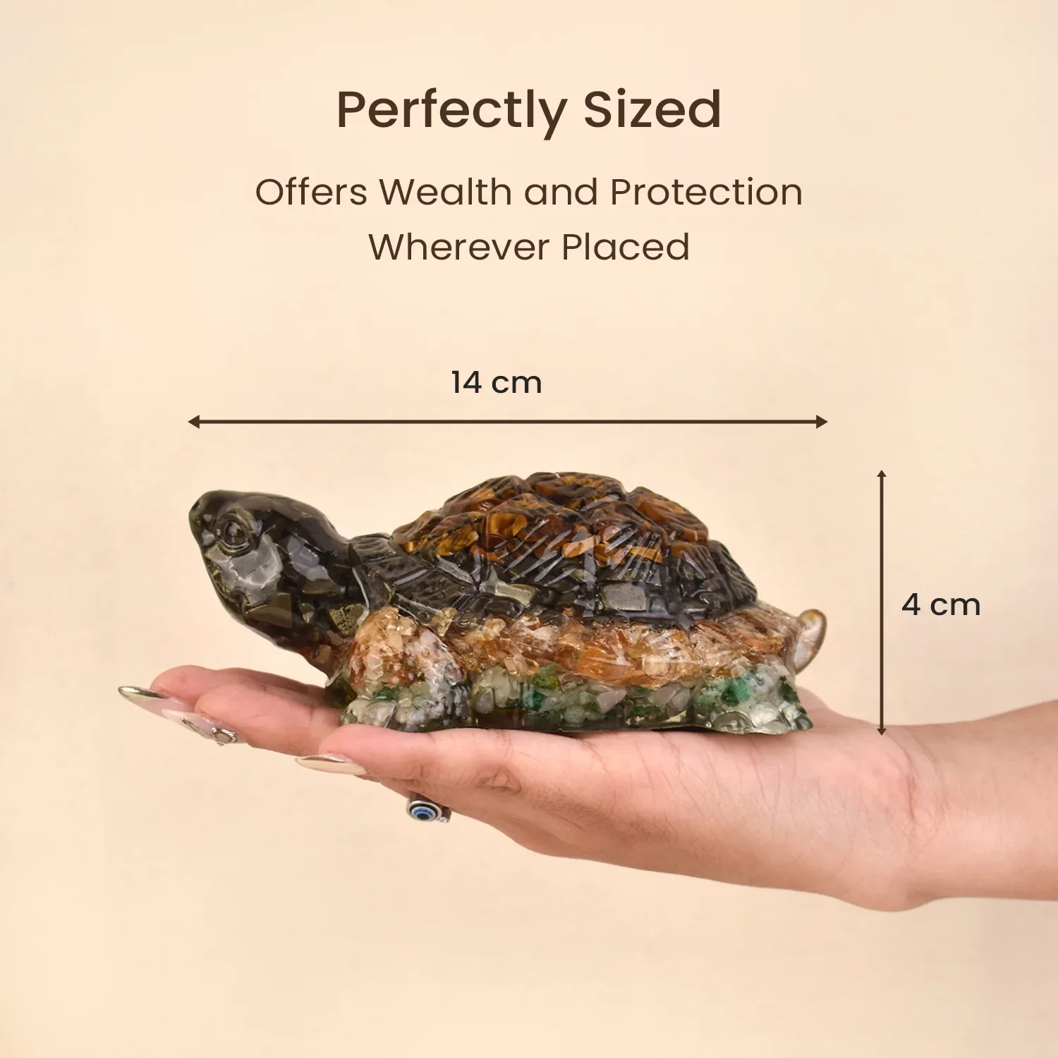 Rinmukteshwar Siddh Vastu Dhan Yog Tortoise (Big size) - Image 10