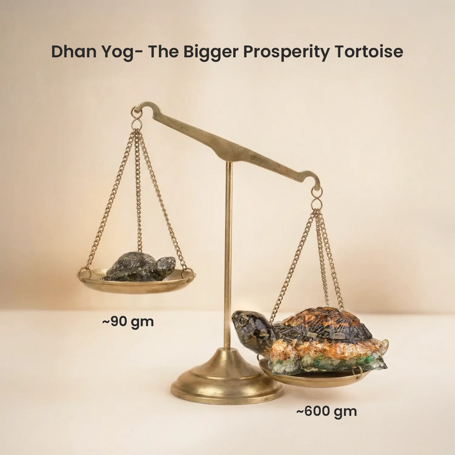 Rinmukteshwar Siddh Vastu Dhan Yog Tortoise (Big size) - Image 12