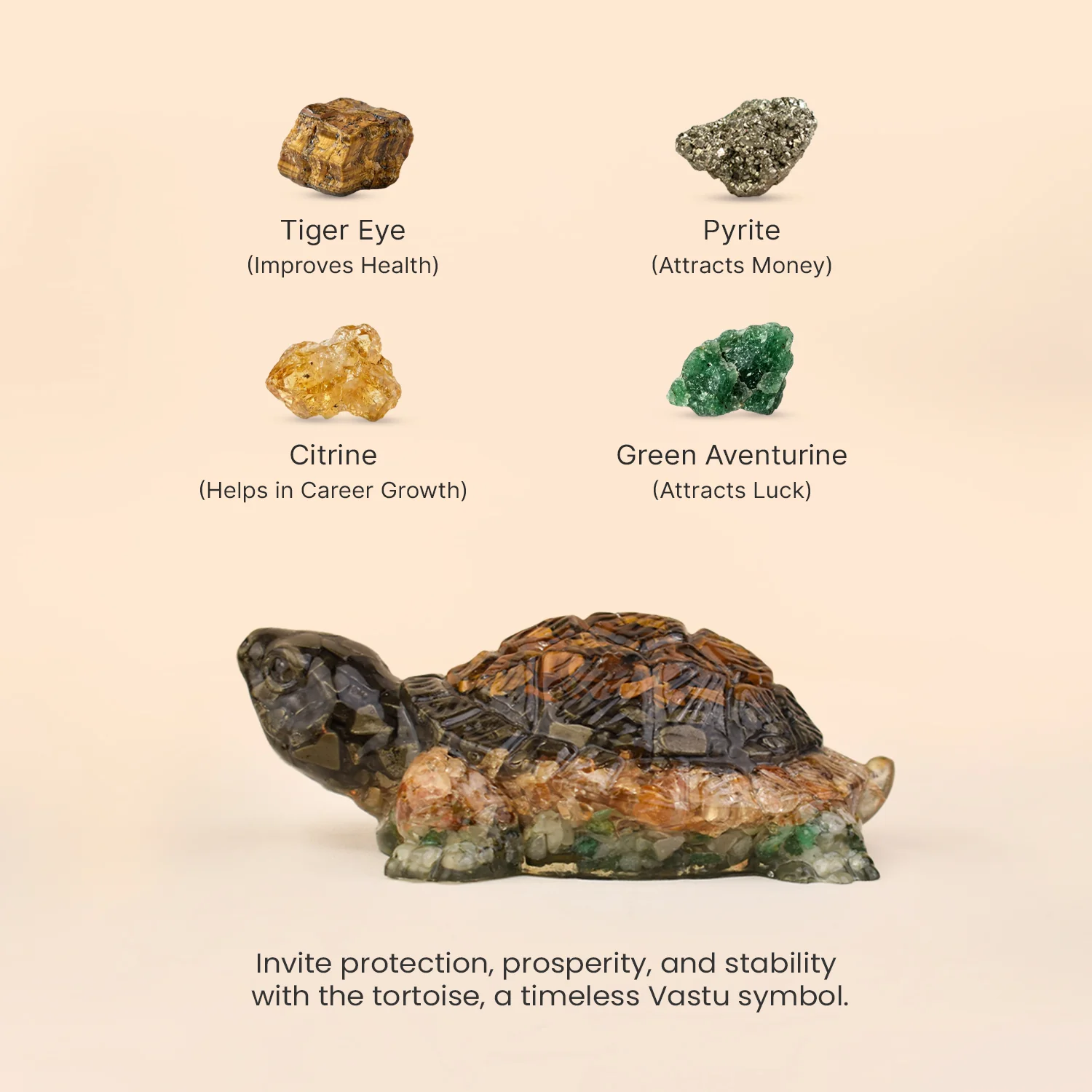 Rinmukteshwar Siddh Vastu Dhan Yog Tortoise (Big size) - Image 7