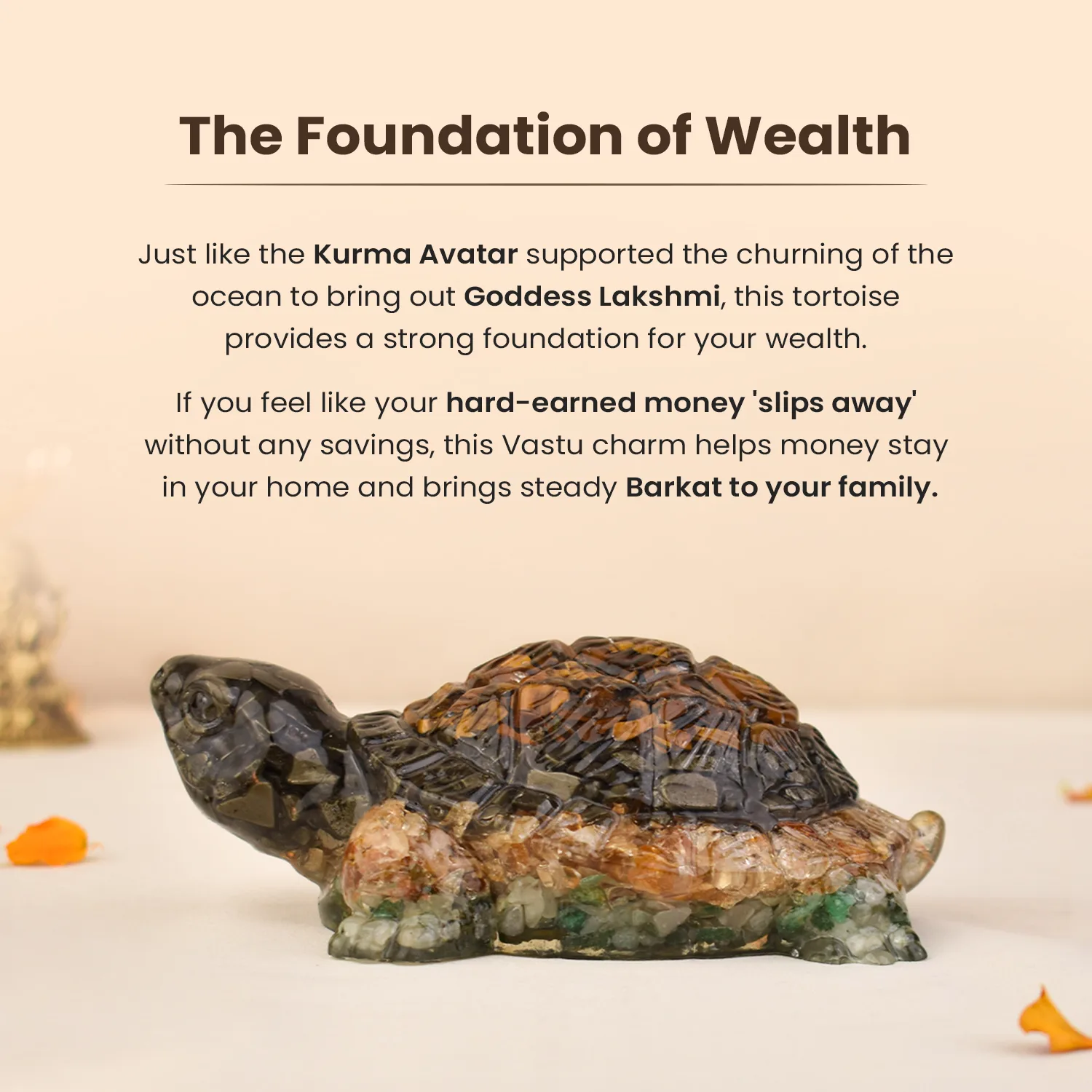 Rinmukteshwar Siddh Vastu Dhan Yog Tortoise (Big size) - Image 8