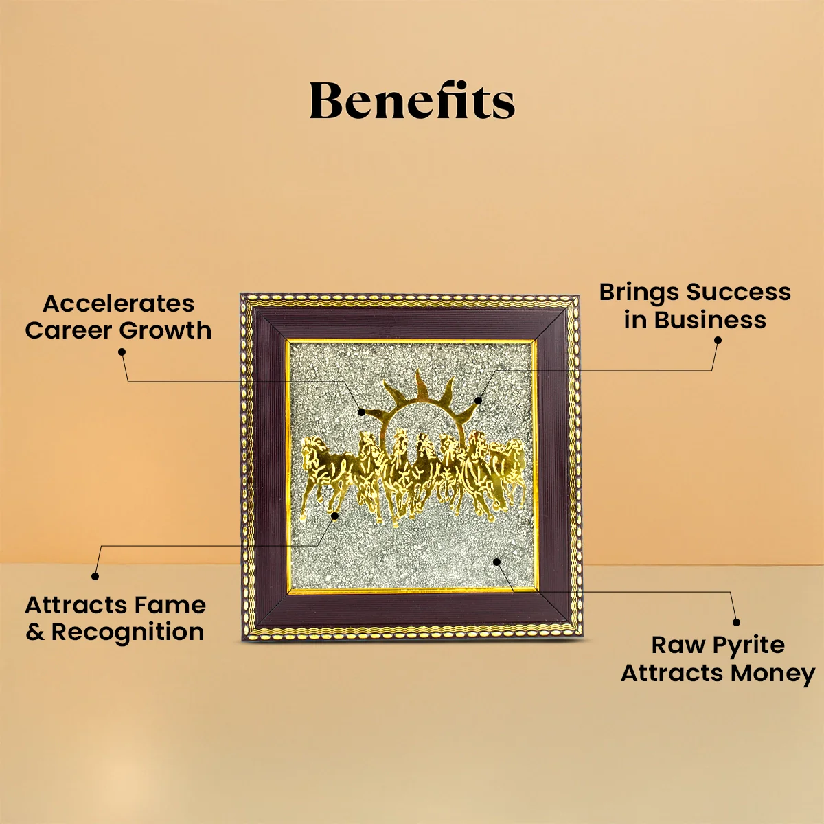 Sampurn Samriddhi Combo - Image 3