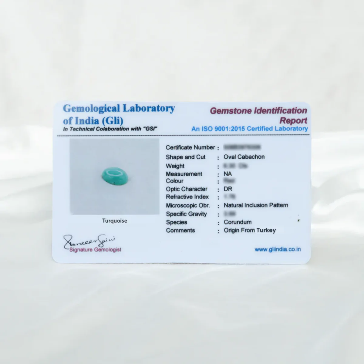 Turquoise - Image 6