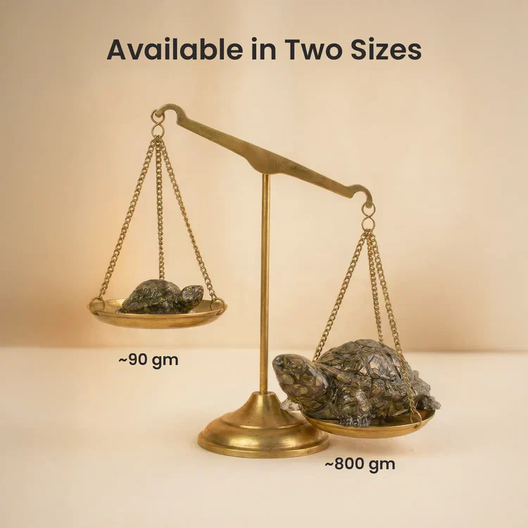Vastu Pyrite Tortoise Combo – Small Kachhua with Big Kachhua - Image 12