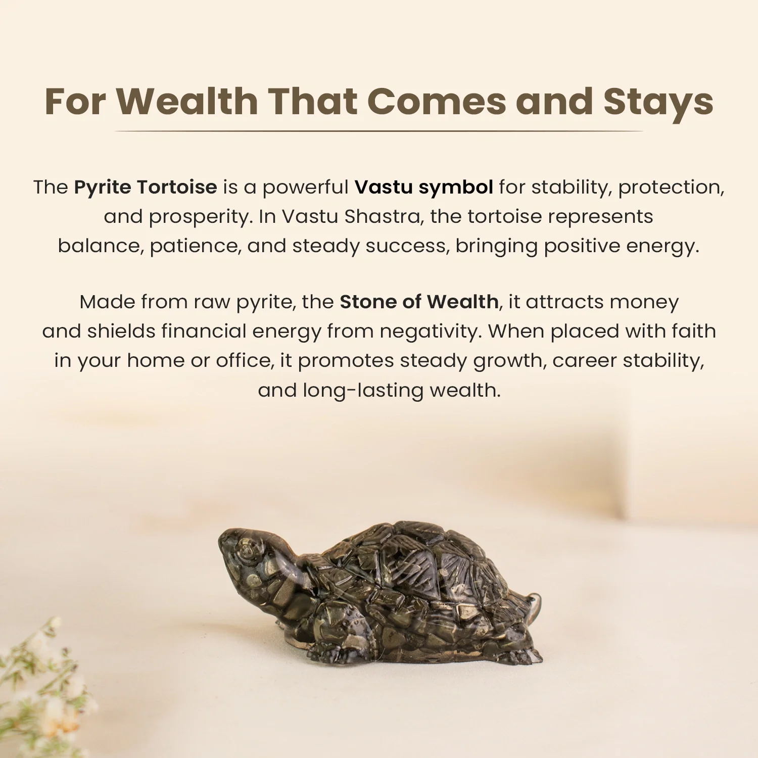 Vastu Pyrite Tortoise (Pack of 2) - Image 6