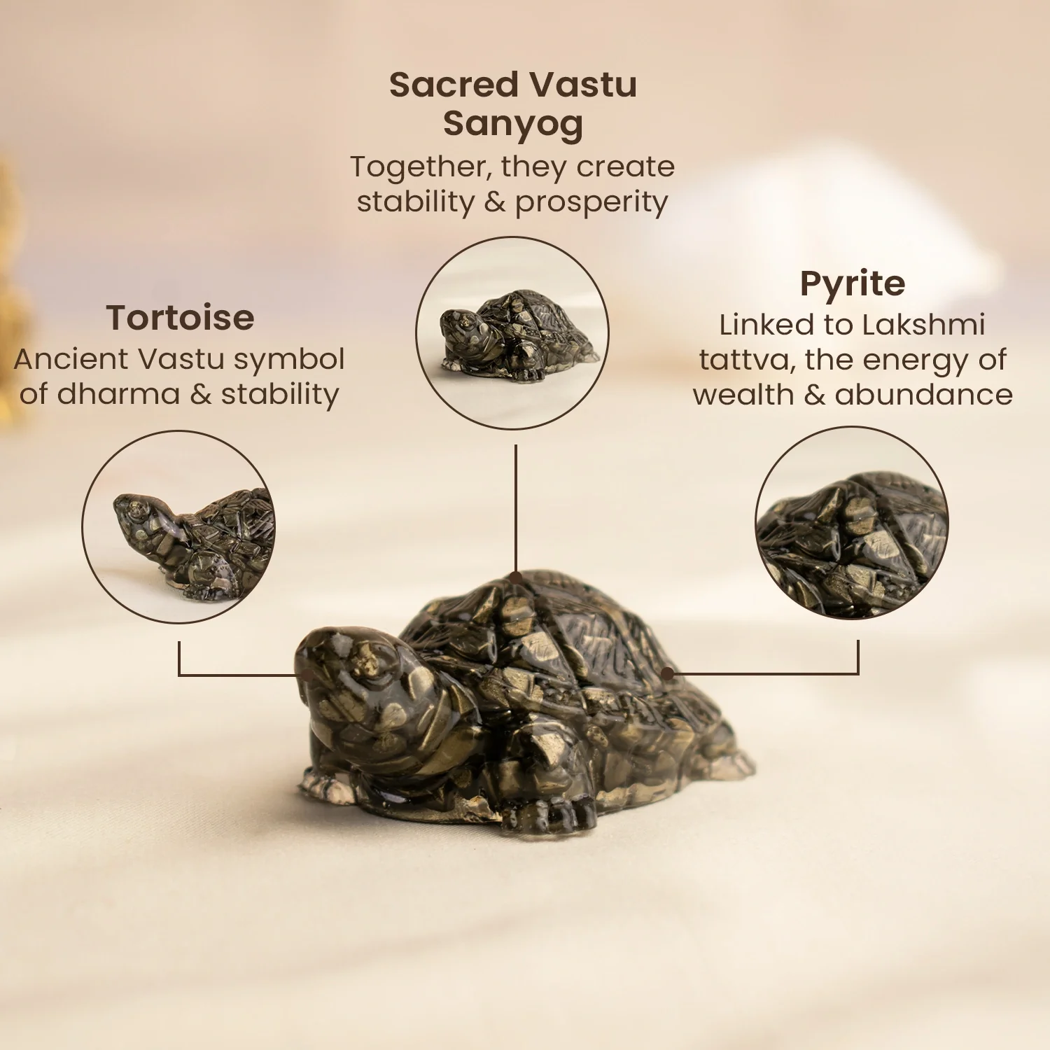 Vastu Pyrite Wealth & Wisdom Combo - Image 5